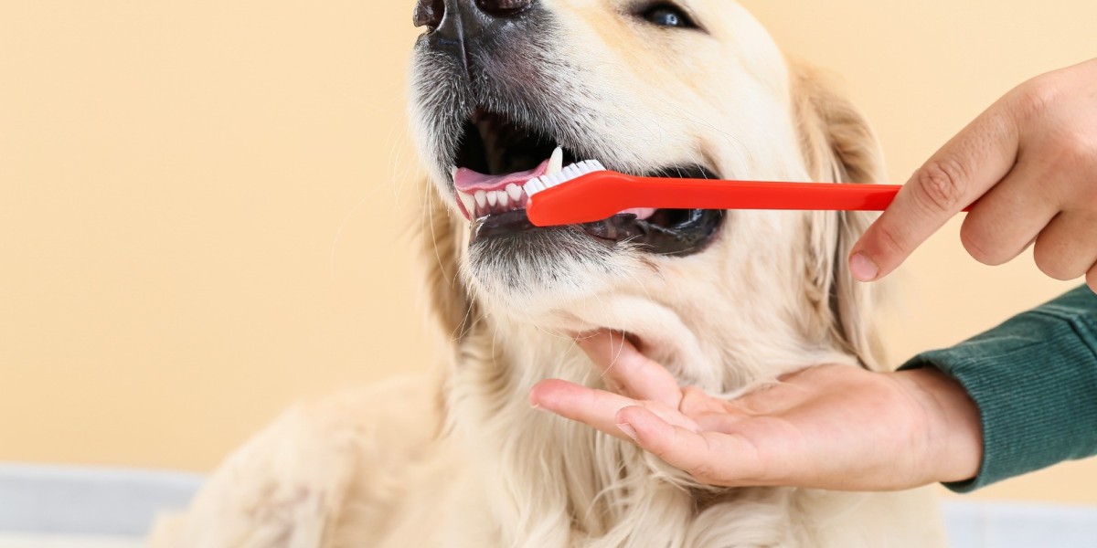 Pet Toothpaste Market Projected to Attain $673.4 Million by 2029 | TechSci Research