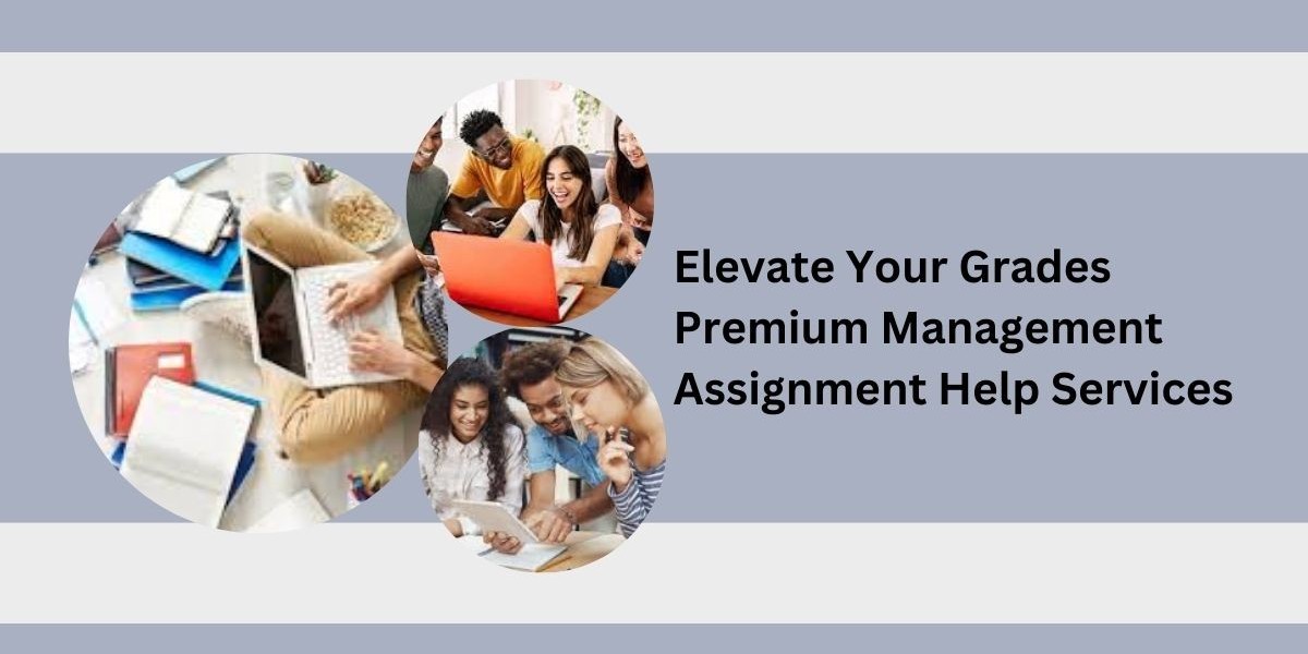 Elevate Your Grades: Premium Management Assignment Help Services