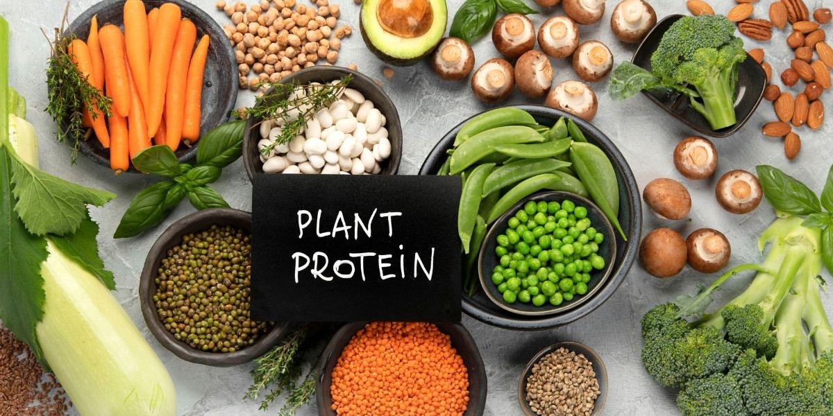 Plant Protein Market: Surging Demand Reshapes Dietary Trends Worldwide