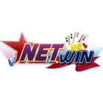 NET WIN Profile Picture