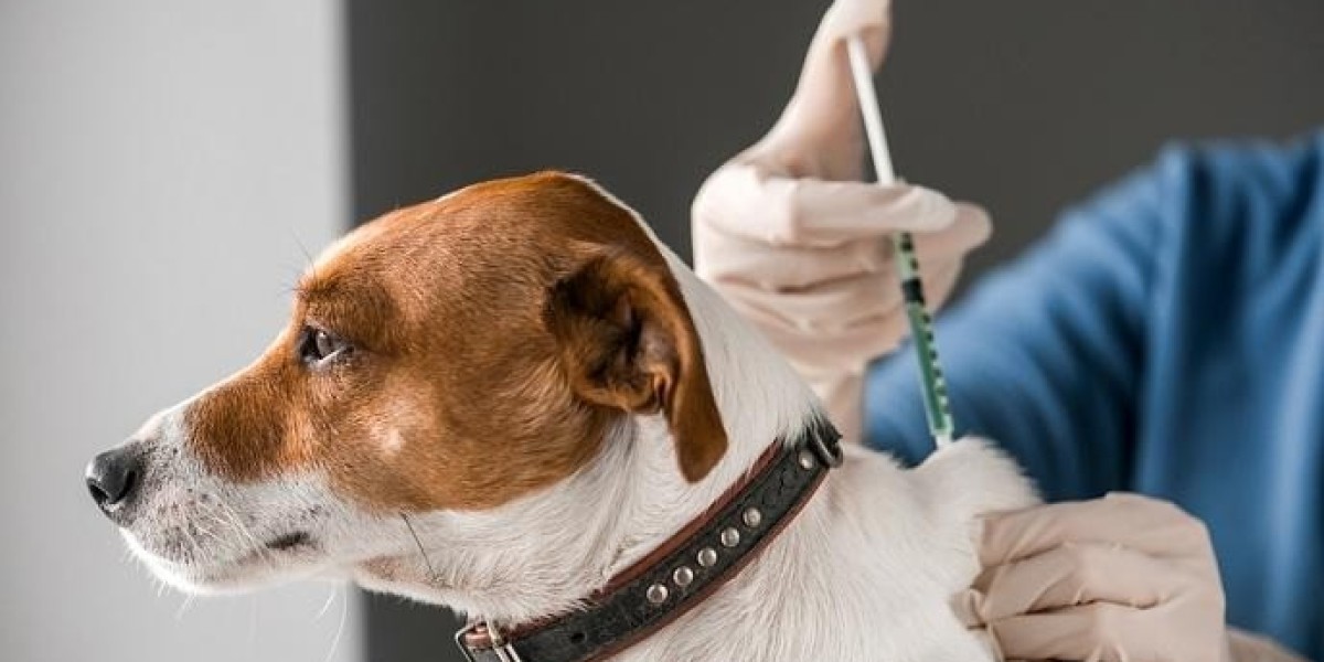 Pet Cancer Therapeutics Market Report 2024, Industry Trends and Forecast Till 2032