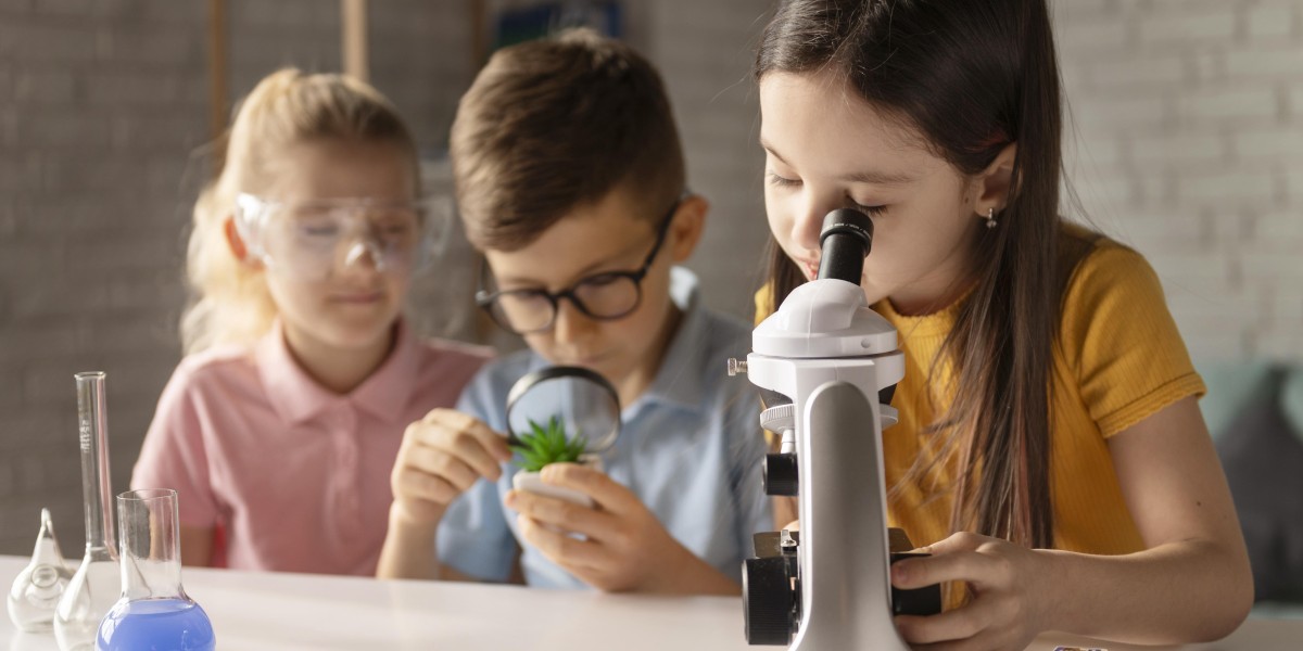 STEM Courses in 2024: How important are they