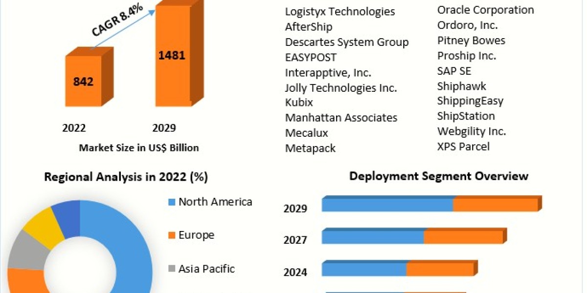 ​Shipping Software Market Global Share, Segmentation, Analysis and Forecast 2029
