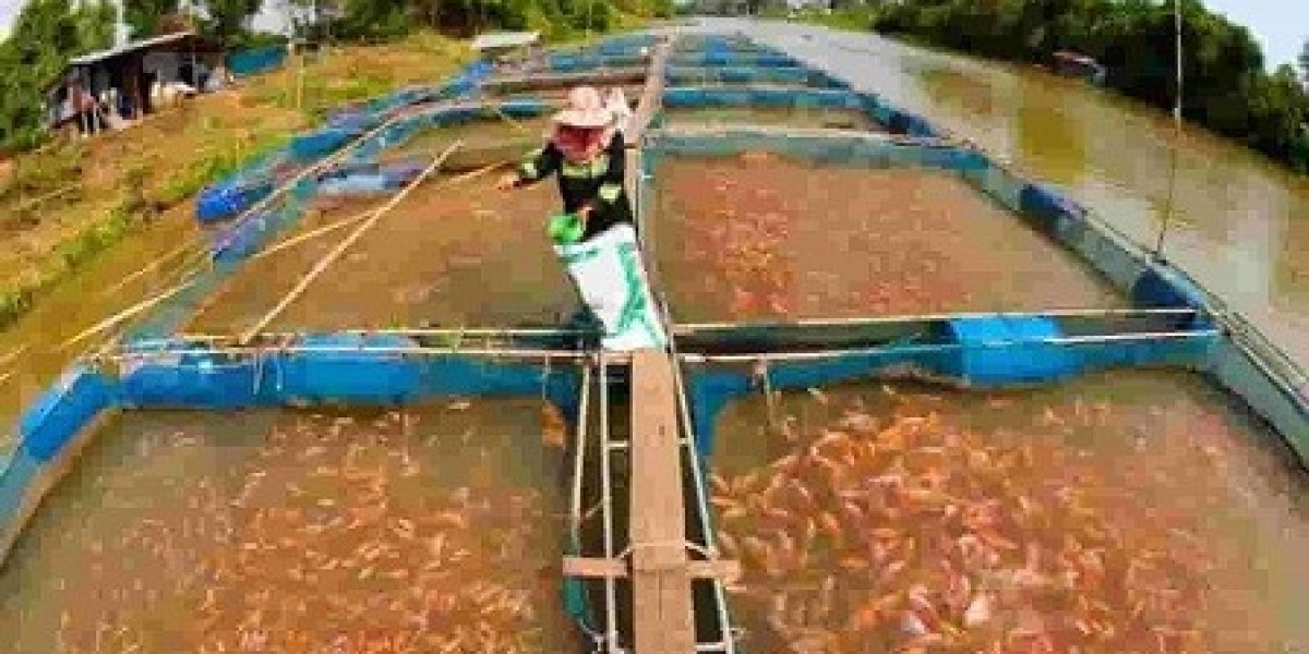 Fish Farming Manufacturing Plant Project Report 2024: Raw Materials, Investment Opportunities, Cost and Revenue