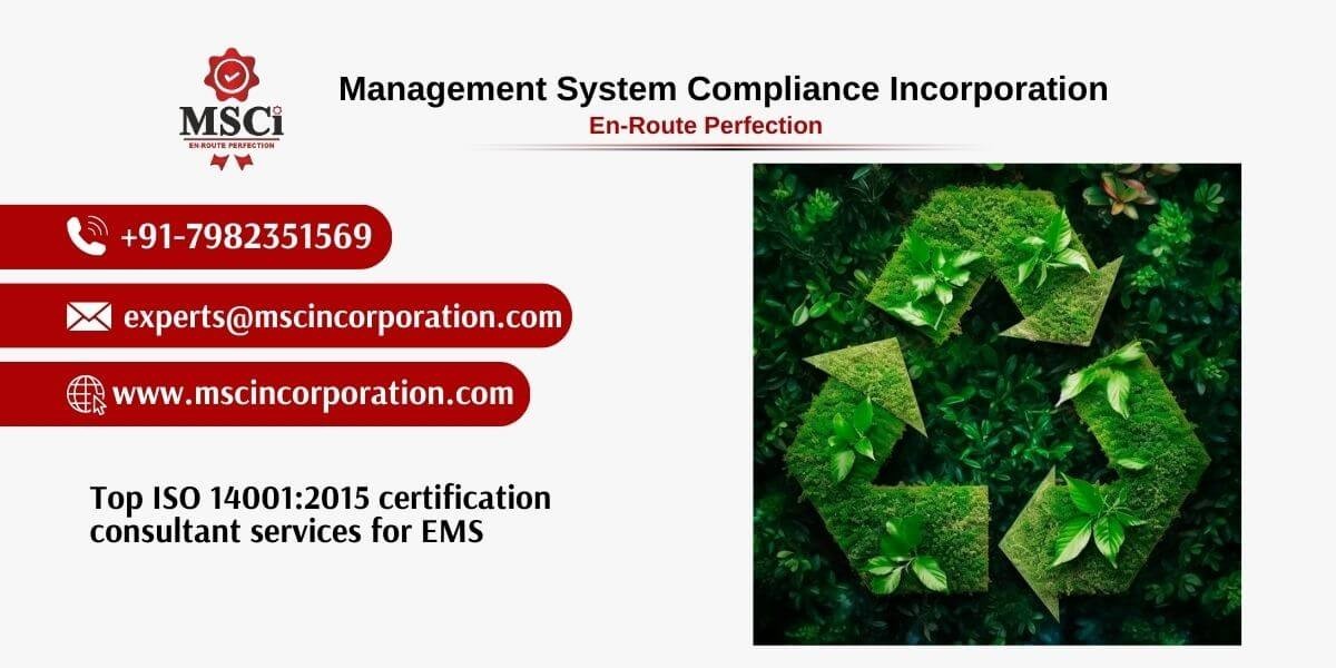 Expert ISO 14001 Consultant Services with MSCi's