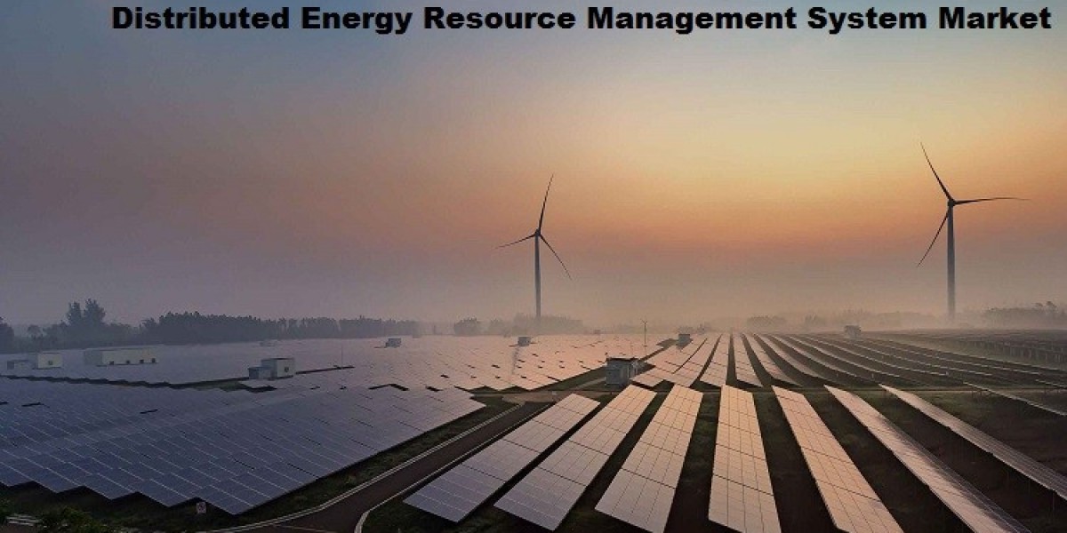 Distributed Energy Resource Management System Market: Unlocking Market Dynamics