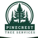 servicespinecresttree Profile Picture
