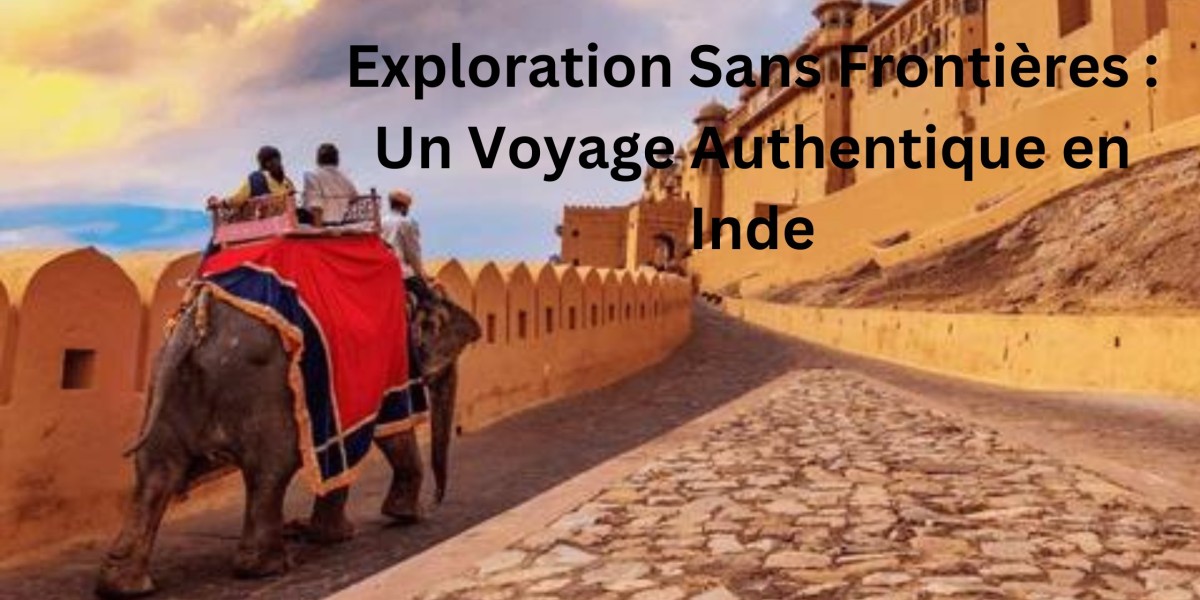 Exploration Sans Frontières : Un Voyage Authentique en Inde