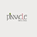 Pinnacle Driving School Profile Picture