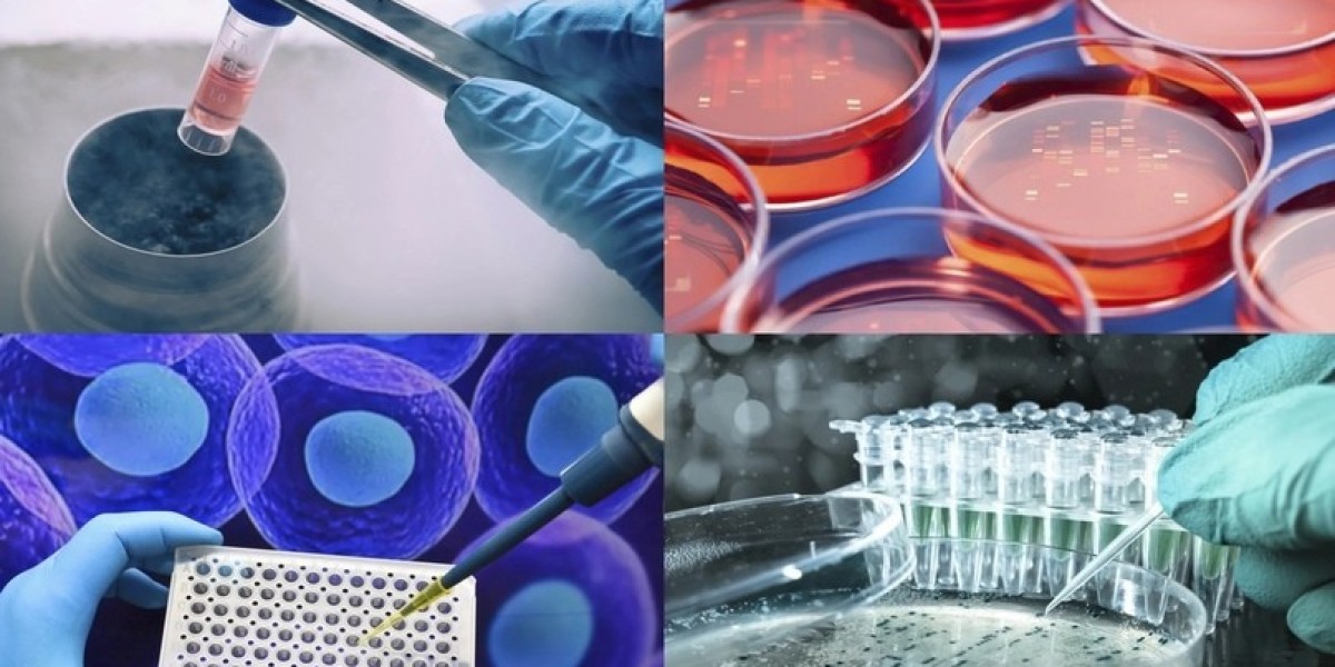 Maximizing Efficiency: Best Practices for Using Sequencing Consumables