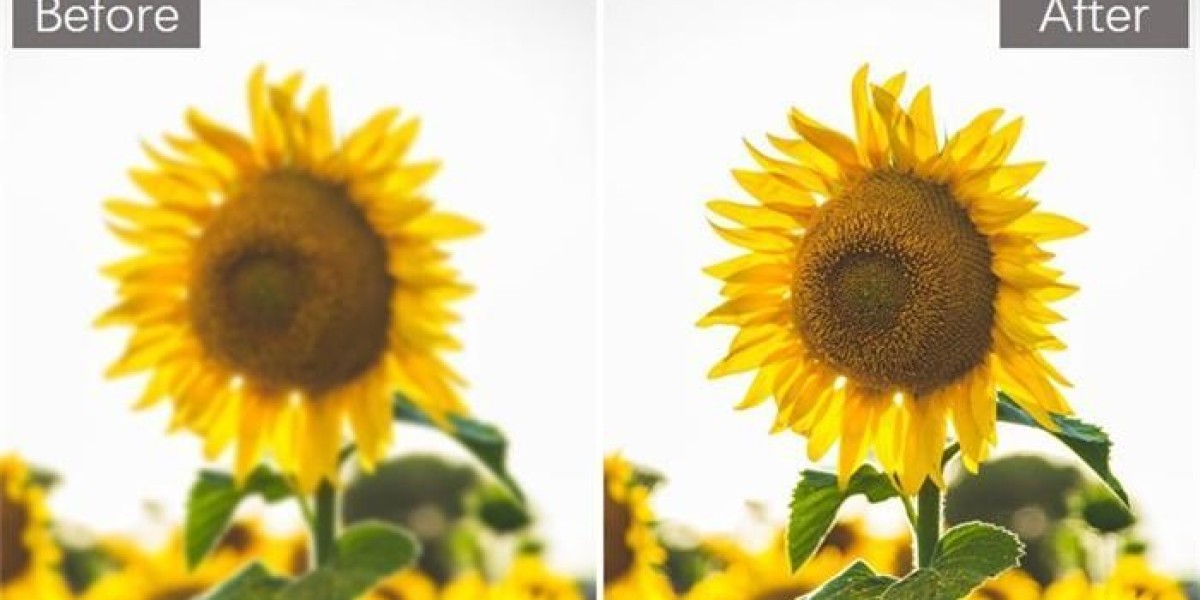 Unveiling the Magic: How to Remove Blur from Photo Online