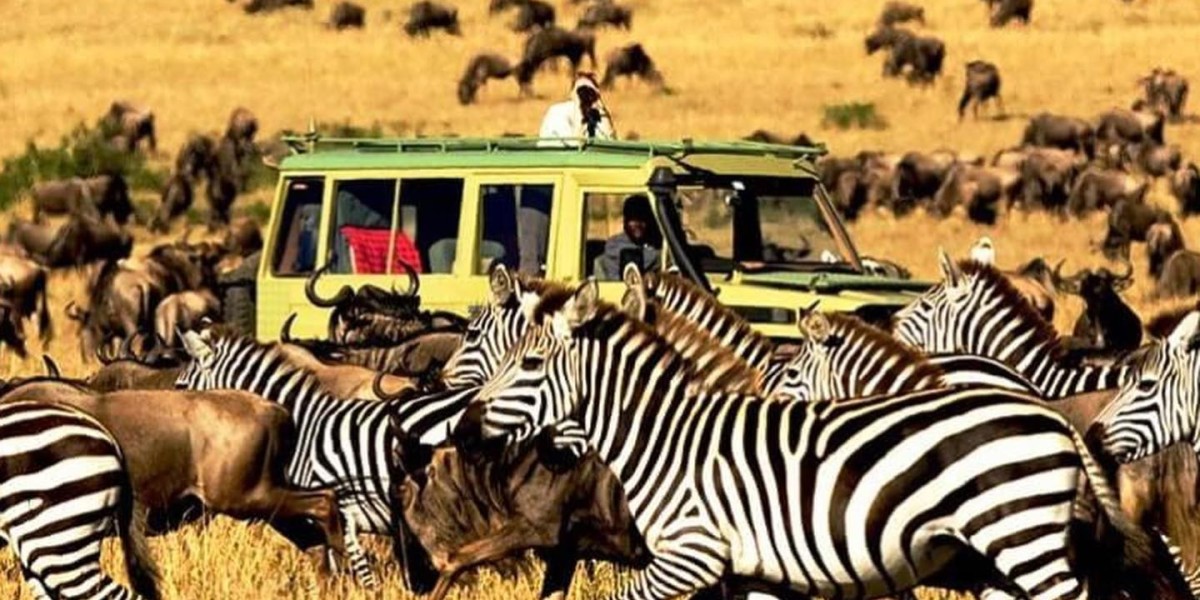 Embark on a Zanzibar Safari Tour Package: Discover the Wonders of Africa