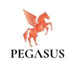 Pegasus Funding Profile Picture