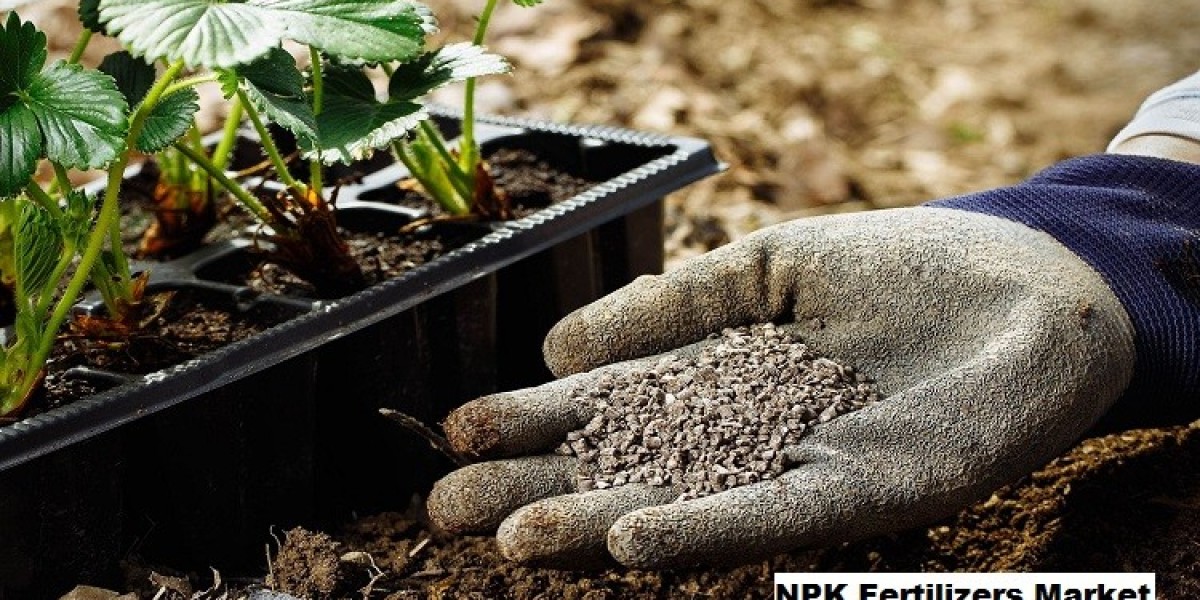 Decoding NPK Fertilizers Market: Size, Share, Trends, Growth And Forecast