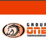 Group One Thoroughbreds Profile Picture