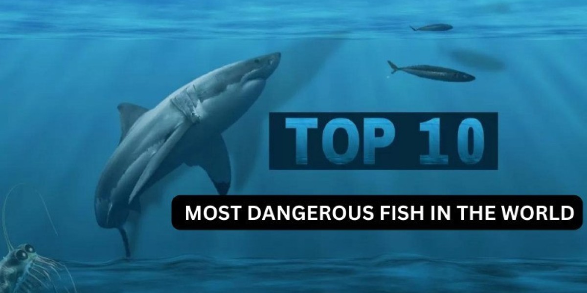 Most Dangerous Fish