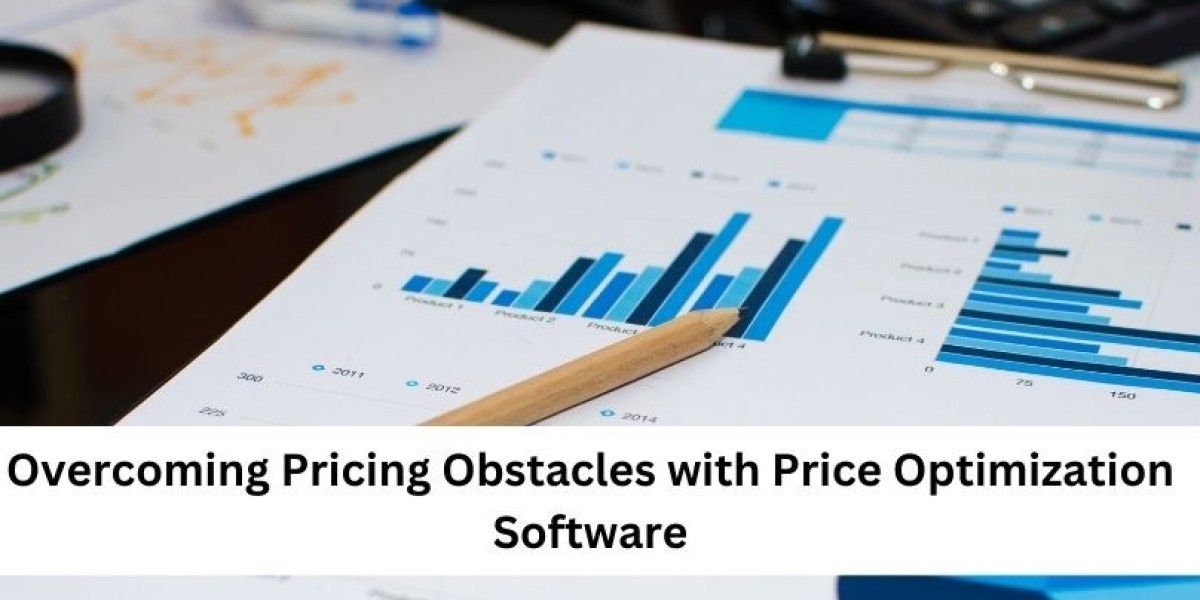 Overcoming Pricing Obstacles with Price Optimization Software