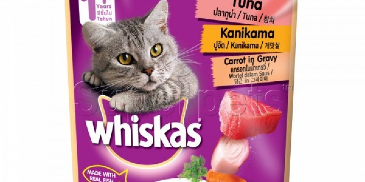 Kitten food bulk