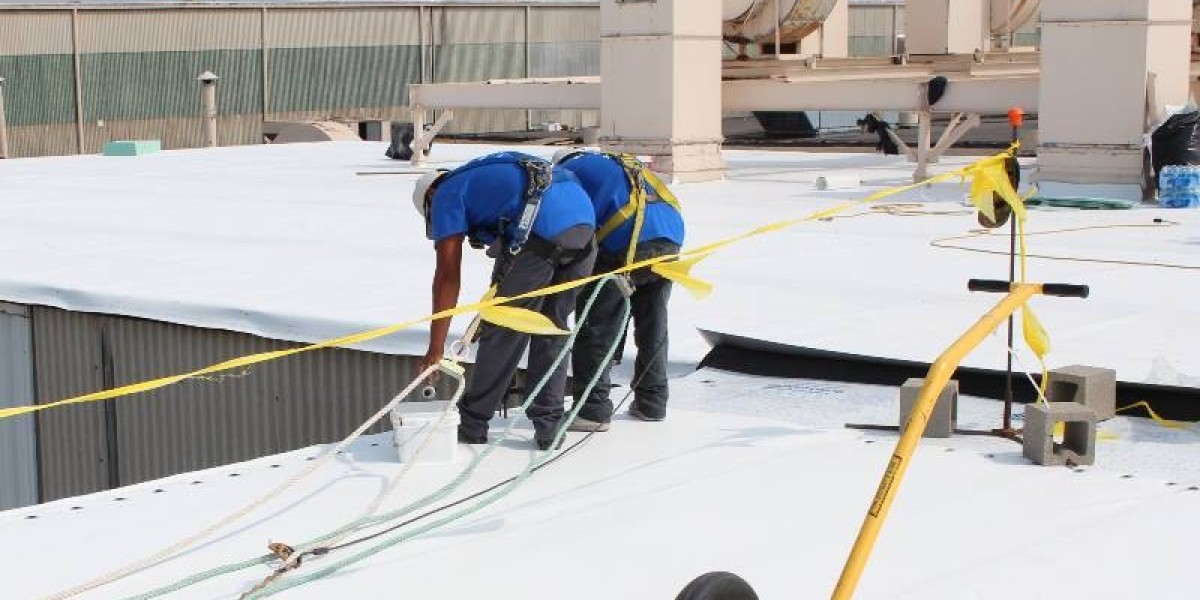 Raising the Roof on Business: Sentry Exteriors' Commercial Roofing Mastery in Lynchburg, VA