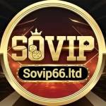SOVIP66 Nhà Cái SOVIP Profile Picture
