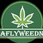 Leafly weednyc Profile Picture