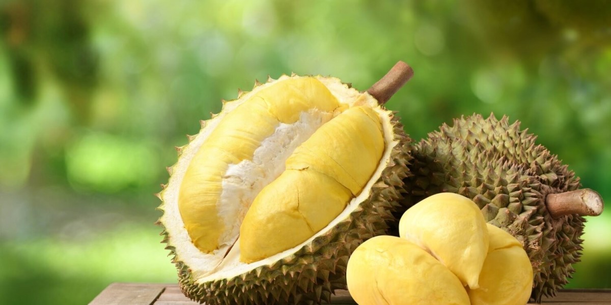 Durian Fruit Market Size, Share, Revenue and Report 2024-2032