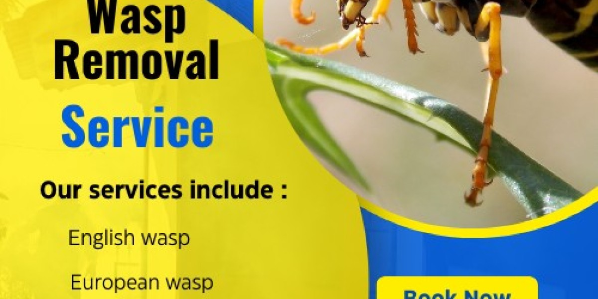 Arthurs Creek's Trusted Wasp Removal Specialists