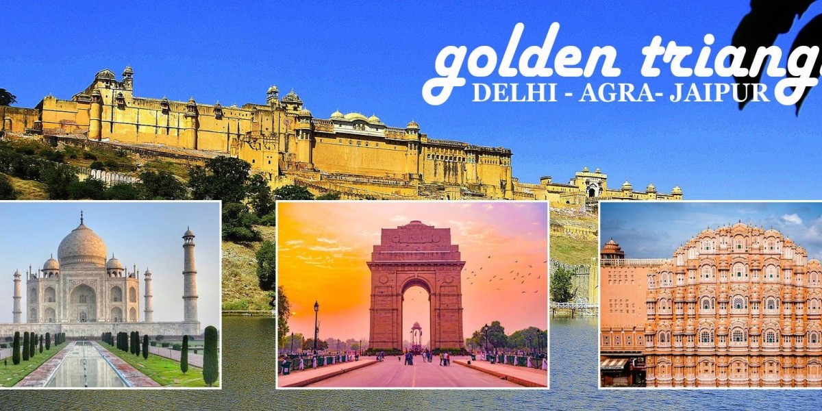 How to Plan a Tour in Delhi?