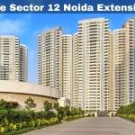 Ace Sector 12 Noida Extension Profile Picture