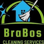 braboscleaning44 Profile Picture