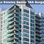 Max Estates Sector 36A Gurgaon Profile Picture