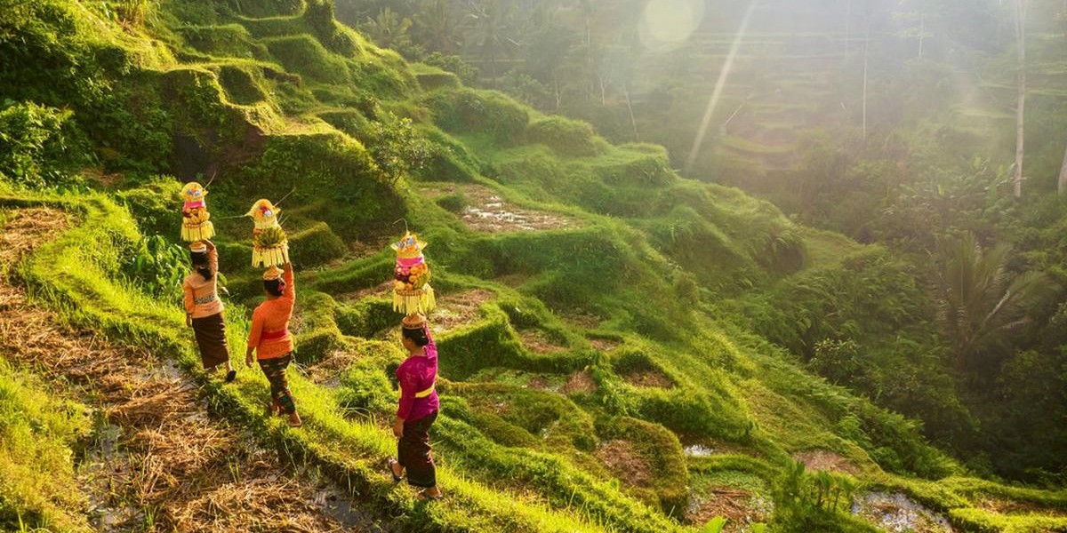 Ekspedisi Fotografi di Bali : Menangkap Keindahan Alam dan Budaya