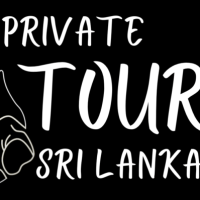 Private tour guide in sri lanka | Best Tour Packages in Sri Lanka, Private Tour Guide in Sri Lanka, Tour and Holiday Sri Lanka, Private tour and transportation services, Tour and holiday needs, Professional and discreet drivers, Tripadvisir sri lanka, Private tour and transportation, Private tailor made tours, Private transportation companies, 6 night 7 days tour sri lanka, 8 night 9 days tour, Personalized and adaptable services, Holiday travel and tourism Sri Lanka, Private transportation for sightseeing tours, Travel & Tourism Sri Lanka, Individual transportation services, Sri lanka family holiday, Private tour guide Sri Lanka, Tripadvisor sri lanka, Sri lanka private tours with driver, Private tour guide sri lanka, Sri lanka holiday destinations, Adventure tourism guide Sri Lanka, Holiday travel and tourism – Private tour and transportation services