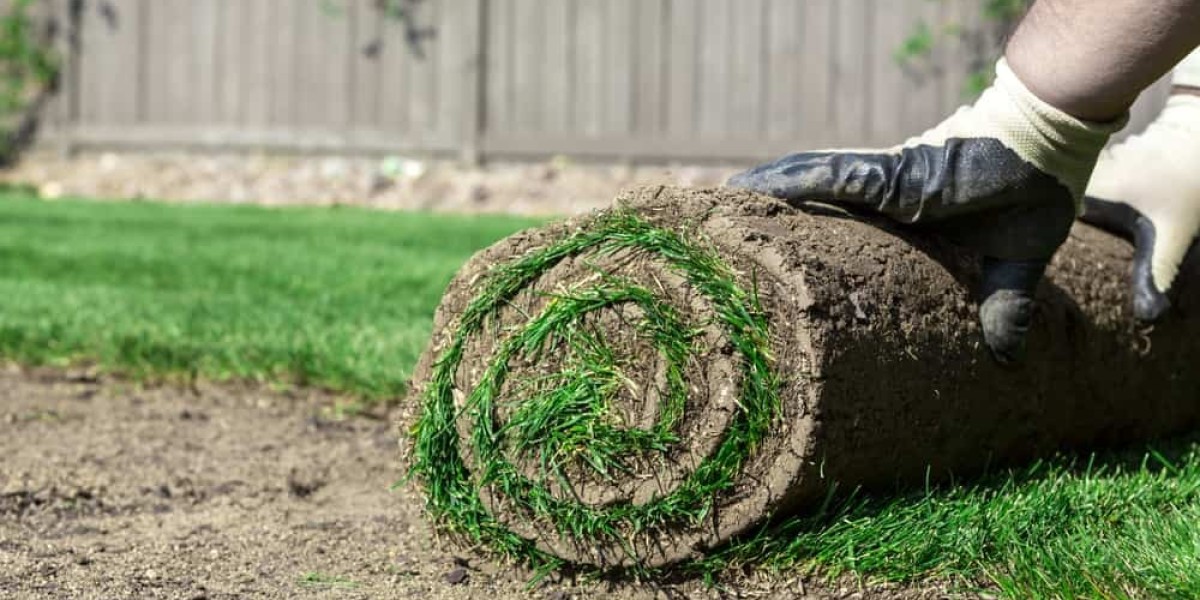 Sod Installation in Los Angeles | Transform Your Lawn with Robert's Complete Care