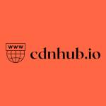 CDNHUB IO Profile Picture