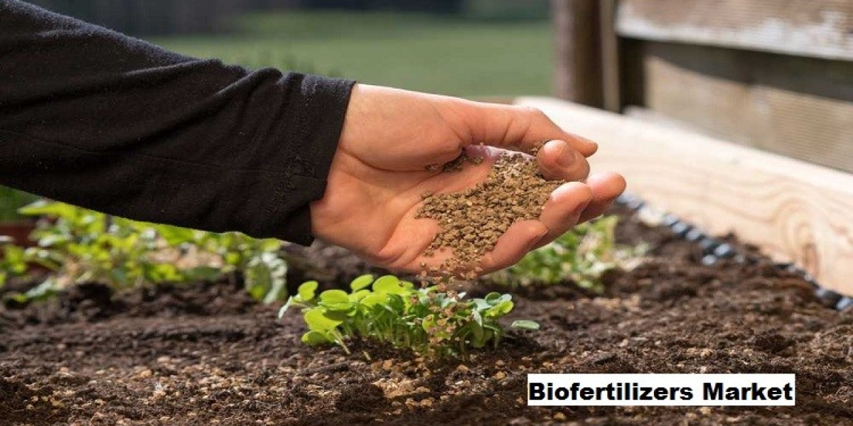 Biofertilizers Market Expands with Rising Global Interest in Organic Agriculture