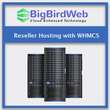 Buy Reseller Hosting Plans | Unlimited cPanel | SSD Disk and More