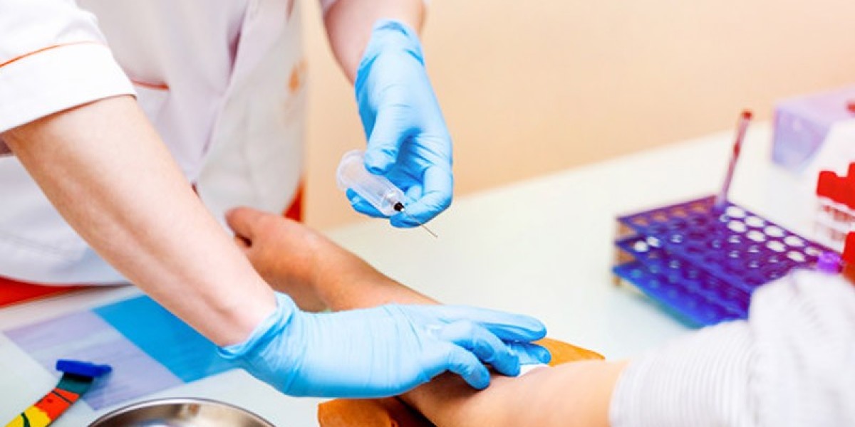 Blood Collection Market Size, Share and Industry Analysis, Report 2024-2032