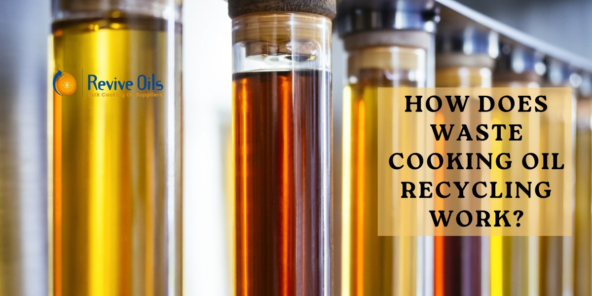 How Does Waste Cooking Oil Recycling Work? A Step-by-Step Guide