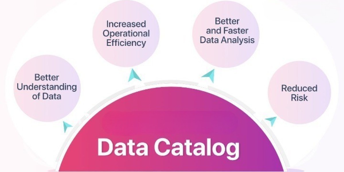 Data Catalog Market Size, Share and Industry Analysis, Report 2024-2032