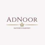 Adnoor Inc Profile Picture