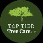 Top Tier Tree Care LLC Profile Picture