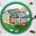 Dominator Pestcontrol Profile Picture