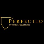 Perfection Migration Profile Picture