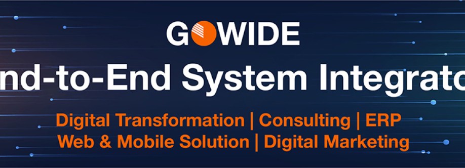 Gowide Solutions Cover Image