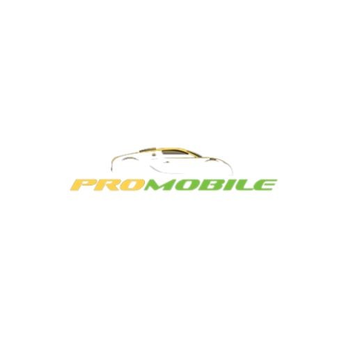 Pro Mobile Auto Detailing Profile Picture