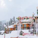 Best Tour Operators in Kashmir Profile Picture