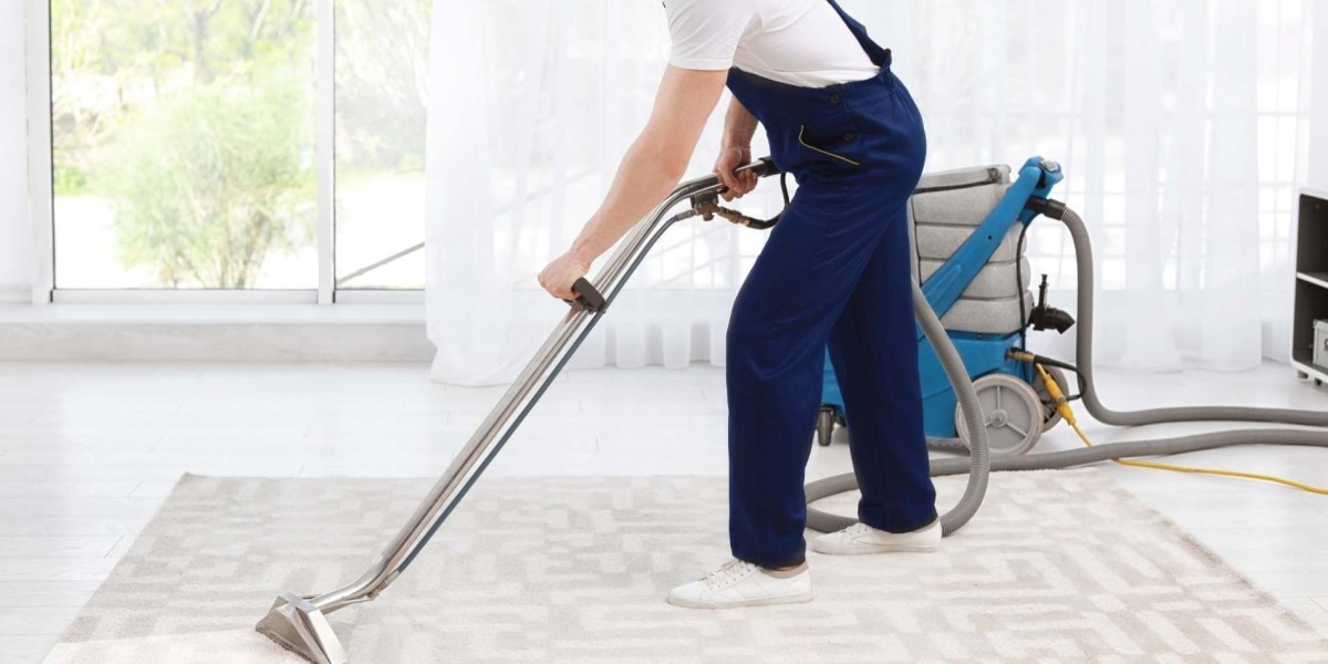 The Impact of Professional Carpet Cleaning on Allergy Reduction