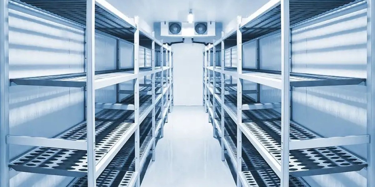 Why You Need the Best Cold Room and Chiller Manufacturers for Your Business