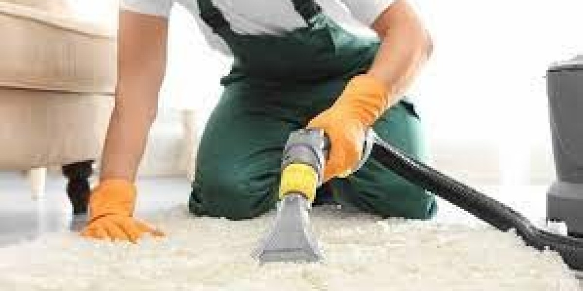 Creating a Clean and Comfortable Home with Carpet Cleaning